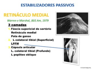 RETINÁCULO MEDIAL
Warren e Marshal, JBJS Am, 1979
3 camadas
1.Fáscia supericial do sartório
Retináculo medial
Pata de ganso
2. L colateral tibial (Superficial)
LPFM
3.Cápsula articular
L. colateral tibial (Profundo)
L poplíteo oblíquo
Dr David Sadigursky
 