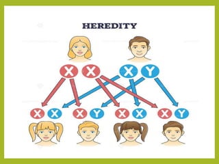 Genetic Disposition Examples 1 Unit - I Introduction to genetics, Practical implications & Impact of ...