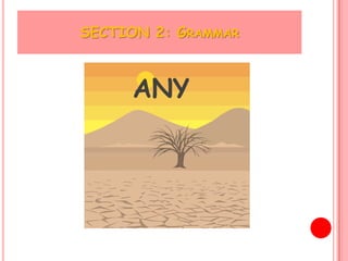 SECTION 2: GRAMMAR



     ANY
 