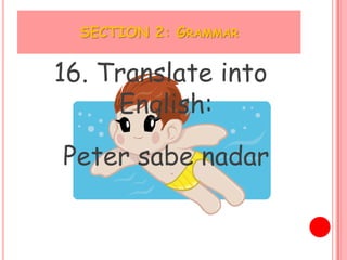 SECTION 2: GRAMMAR


16. Translate into
     English:

Peter sabe nadar
 