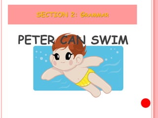 SECTION 2: GRAMMAR



PETER CAN SWIM
 