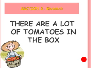 SECTION 2: GRAMMAR



THERE ARE A LOT
OF TOMATOES IN
    THE BOX
 