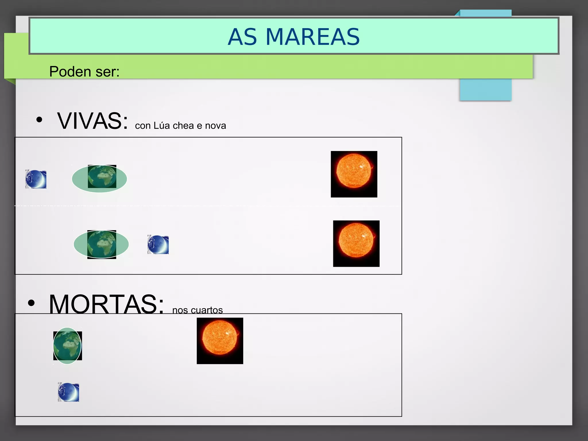 AS MAREAS
• VIVAS: con Lúa chea e nova
• MORTAS: nos cuartos
Poden ser:
 
