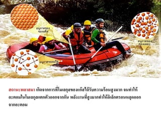 สถานะพลาสมา เกิดจากการที่โมเลกุลของแก๊สได้รับความร้อนสูงมาก จนทาให้
อะตอมในโมเลกุลแตกตัวออกจากกัน พลังงานที่สูงมากทาให้อิเล็กตรอนหลุดออก
จากอะตอม
 