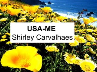 USA-ME
Shirley Carvalhaes
 