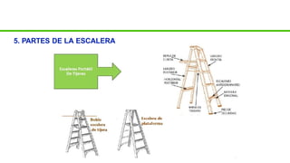 5. PARTES DE LA ESCALERA
 