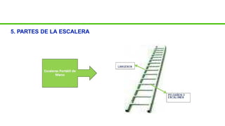 5. PARTES DE LA ESCALERA
 