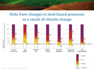 Climate Change Science and the IPCC | PDF