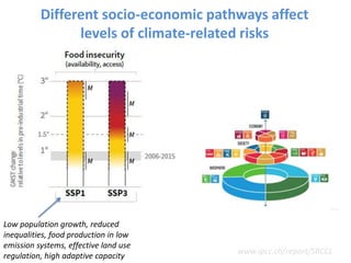 Climate Change Science and the IPCC | PDF