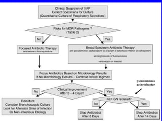 pseudomonas
acinetobacter
 