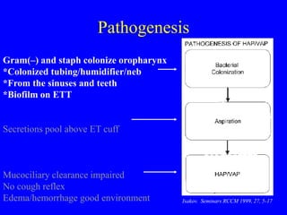 Pathogenesis
Isakov. Seminars RCCM 1999, 27, 5-17
Gram(–) and staph colonize oropharynx
*Colonized tubing/humidifier/neb
*From the sinuses and teeth
*Biofilm on ETT
Secretions pool above ET cuff
Mucociliary clearance impaired
No cough reflex
Edema/hemorrhage good environment
 