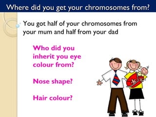 You got half of your chromosomes from
your mum and half from your dad
Who did you
inherit you eye
colour from?
Nose shape?
Hair colour?
Where did you get your chromosomes from?Where did you get your chromosomes from?
 