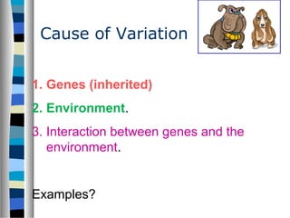 Cause of Variation
1. Genes (inherited)
2. Environment.
3. Interaction between genes and the
environment.
Examples?
 