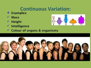 Continuous Variation:
 Examples:
 Mass
 Height
 Intelligence
 Colour of organs & organisms
 