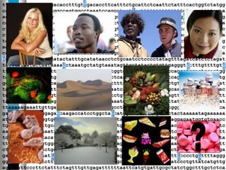 tttctccatttgtcgtgacacctttgttgacaccttcatttctgcattctcaattctatttcactggtctatgg
cagagaacacaaaatatggccagtggcctaaatccagcctactaccttttttttttttttgtaacattttacta
acatagccattcccatgtgtttccatgtgtctgggctgcttttgcactctaatggcagagttaagaaattgtag
cagagaccacaatgcctcaaatatttactctacagccctttataaaaacagtgtgccaactcctgatttatgaa
cttatcattatgtcaataccatactgtctttattactgtagttttataagtcatgacatcagataatgtaaatc
ctccaactttgtttttaatcaaaagtgttttggccatcctagatatactttgtattgccacataaatttgaaga
tcagcctgtcagtgtctacaaaatagcatgctaggattttgatagggattgtgtagaatctatagattaattag
aggagaatgactatcttgacaatactgctgcccctctgtattcgtgggggattggttccacaacaacacccacc
ccccactcggcaacccctgaaacccccacatcccccagcttttttcccctgctaccaaaatccatggatgctca
agtccatataaaatgccatactatttgcatataacctctgcaatcctcccctatagtttagatcatctctagat
tacttataatactaataaaatctaaatgctatgtaaatagttgctatactgtgttgagggttttttgttttgtt
ttgttttatttgtttgtttgtttgtattttaagagatggtgtcttgctttgttgcccaggctggagtgcagtgg
tgagatcatagcttactgcagcctcaaactcctggactcaaacagtcctcccacctcagcctcccaaagtgctg
ggatacaggtgtgacccactgtgcccagttattattttttatttgtattattttactgttgtattatttttaat
tattttttctgaatattttccatctatagttggttgaatcatggatgtggaacaggcaaatatggagggctaac
tgtattgcatcttccagttcatgagtatgcagtctctctgtttatttaaagttttagtttttctcaaccatgtt
tacttttcagtatacaagactttgacgttttttgttaaatgtatttgtaagtattttattatttgtgatgttat
ttaaaaagaaattgttgactgggcacagtggctcacgcctgtaatcccagcactttgggaggctgaggcgggca
gatcacgaggtcaggagatcaagaccatcctggctaacatggtaaaaccccgtctctactaaaaatagaaaaaa
attagccaggcgtggtggcgagtgcctgtagtcccagctactcgggaggctgaggcaggagaatggtgtgaacc
tgggaggcggagcttgcagtgagctgagatcgtgccactgcattccagcctgcgtgacagagcgagactctgtc
aaaaaaataaataaaatttaaaaaaagaagaagaaattattttcttaatttcattttcaggttttttatttatt
tctactatatggatacatgattgatttttgtatattgatcatgtatcctgcaaactagctaacatagtttatta
tttctctttttttgtggattttaaaggattttctacatagataaataaacacacataaacagttttacttcttt
cttttcaacctagactggatgcattttttgtttttgtttgtttgtttgctttttaacttgctgcagtgactaga
gaatgtattgaagaatatattgttgaacaaaagcagtgagagtggacatccctgctttccccctgattttaggg
ggaatgttttcagtctttcactatttaatatgattttagctataggtttatcctagatccctgttatcatgttg
aggaaattcccttctatttctagtttgttgagattttttaattcatgtgattgcgctatctggctttgctctca
t
c
g
a
g
a
g
a
g
a
g
a
g
c
g
c
g
c
t
c
g
a
g
a
g
a
g
a
g
a
t
c
t
c
t
c
t
c
g
a
g
a
g
a
t
c
g
c
t
c
t
c
t
c
 