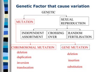 Genetic Factor that cause variation
GENETIC
MUTATION
SEXUAL
REPRODUCTION
CHROMOSOMAL MUTATION GENE MUTATION
INDEPENDENT
ASSORTMENT
CROSSING
OVER
RANDOM
FERTILISATION
duplication
inversion
translocation
deletion
deletion
insertion
substitution
 