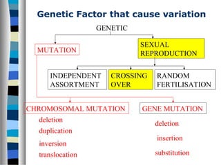 Genetic Factor that cause variation
GENETIC
MUTATION
SEXUAL
REPRODUCTION
CHROMOSOMAL MUTATION GENE MUTATION
INDEPENDENT
ASSORTMENT
CROSSING
OVER
RANDOM
FERTILISATION
duplication
inversion
translocation
deletion
deletion
insertion
substitution
 