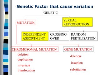 Genetic Factor that cause variation
GENETIC
MUTATION
SEXUAL
REPRODUCTION
CHROMOSOMAL MUTATION GENE MUTATION
INDEPENDENT
ASSORTMENT
CROSSING
OVER
RANDOM
FERTILISATION
duplication
inversion
translocation
deletion
deletion
insertion
substitution
 