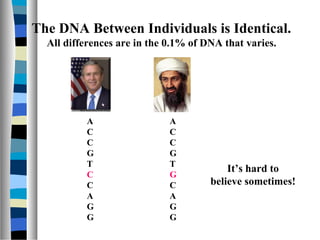 The DNA Between Individuals is Identical.
All differences are in the 0.1% of DNA that varies.
A
C
C
G
T
C
C
A
G
G
A
C
C
G
T
G
C
A
G
G
It’s hard to
believe sometimes!
 