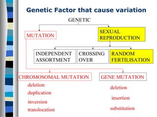 Genetic Factor that cause variation
GENETIC
MUTATION
SEXUAL
REPRODUCTION
CHROMOSOMAL MUTATION GENE MUTATION
INDEPENDENT
ASSORTMENT
CROSSING
OVER
RANDOM
FERTILISATION
duplication
inversion
translocation
deletion
deletion
insertion
substitution
 