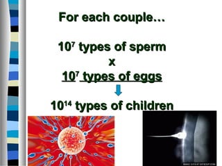 For each couple…For each couple…
101077
types of spermtypes of sperm
xx
101077
types of eggstypes of eggs
10101414
types of childrentypes of children
 