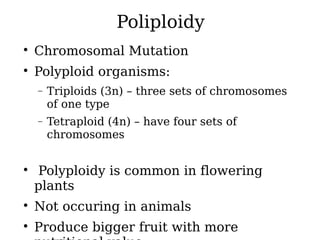 Poliploidy

Chromosomal Mutation

Polyploid organisms:
− Triploids (3n) – three sets of chromosomes
of one type
− Tetraploid (4n) – have four sets of
chromosomes

Polyploidy is common in flowering
plants

Not occuring in animals

Produce bigger fruit with more
 