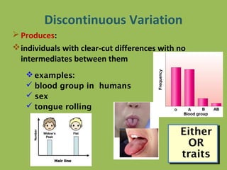 Continuous Variation In Humans