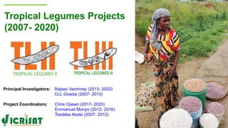 Tropical Legumes Projects
(2007- 2020)
Principal Investigators: Rajeev Varshney (2013- 2020)
CLL Gowda (2007- 2013)
Project Coordinators: Chris Ojiewo (2017- 2020)
Emmanuel Monyo (2012- 2016)
Tsedeke Abate (2007- 2012)
 
