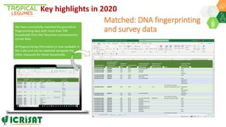 Research Program Genetic Gains (RPGG) Review Meeting 2021: Update on Tropical Legumes Projects (2007- 2020) By Dr Rajeev K Varshney