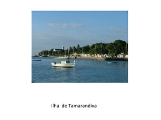 Ilha  de Tamarandiva 
