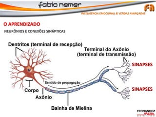 NEURÔNIOS E CONEXÕES SINÁPTICAS
SINAPSES
SINAPSES
O APRENDIZADO
INTELIGÊNCIA EMOCIONAL & VENDAS AVANÇADAS
 