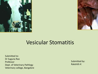 Vesicular Stomatitis
Submitted by:
Rakshith K
Submitted to:
Dr Suguna Rao
Professor
Dept. of Veterinary Pathlogy
Veterinary college, Bangalore
 