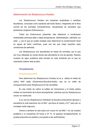 Análisis Microbiológico del agua
Determinación de Streptococcus Fecales:
Los Streptococcus Fecales son bacterias anaeróbias o aeróbias
facultativas, conocidas como bacterias del ácido láctico, integrantes de la flora
normal de los animales homeotérmicos. Actualmente se considera que
pertenecen al género Enterococcus .
Todos los Enterococos presentan alta tolerancia a condiciones
ambientales adversas altas o bajas temperaturas, deshidratación, salinidad, luz
solar…), por lo que se suelen emplear para determinar la contaminación fecal
en aguas de baño marítimas, pues son las que mejor soportan esas
condiciones de salinidad.
Los Streptococcus son abundantes en heces de animales, por lo que
son muy utilizadas en zonas donde sea abundante la cría de ganado. Nuestra
muestra de agua problema está tomada en este ambiente por lo que es
importante realizar esta prueba.
Procedimiento:
Prueba presuntiva:
Para determinar los Streptococcus Fecales se va a utilizar el medio de
cultivo KAA caldo (Canamicina-Esculina-Azida), que es un caldo de
enriquecimiento para Streptococcus D de Lancefield.
En ese medio de cultivo el sulfato de Canamicina y la Azida sódica
inhiben el crecimiento de la flora acompañante, mientras que los Streptococcus
crecen sin restricción.
A su vez los Streptococcus hidrolizan la Esculina produciendo glucosa y
esculetina la cuál reacciona con el NH4
+
que lleva el medio y Fe+3
para dar un
complejo verde negruzco.
Vamos a sembrar en dos tubos con nueve mL de KAA 1 mL de muestra
problema y lo incubamos 24 horas a 37 ºC. Si aparece ennegrecimiento, la
prueba presuntiva es positiva y se pasará a las confirmativas.
Página 12
 