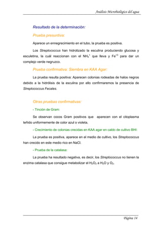 Análisis Microbiológico del agua
Resultado de la determinación:
Prueba presuntiva:
Aparece un ennegrecimiento en el tubo, la prueba es positiva.
Los Streptococcus han hidrolizado la esculina produciendo glucosa y
esculetina, la cuál reaccionan con el NH4
+
que lleva y Fe+3
para dar un
complejo verde negruzco.
Prueba confirmativa: Siembra en KAA Agar:
La prueba resulta positiva: Aparecen colonias rodeadas de halos negros
debido a la hidrólisis de la esculina por ello confirmaremos la presencia de
Streptococcus Fecales.
Otras pruebas confirmativas:
- Tinción de Gram:
Se observan cocos Gram positivos que aparecen con el citoplasma
teñido uniformemente de color azul o violeta.
- Crecimiento de colonias crecidas en KAA agar en caldo de cultivo BHI:
La prueba es positiva, aparece en el medio de cultivo, los Streptococcus
han crecido en este medio rico en NaCl.
- Prueba de la catalasa:
La prueba ha resultado negativa, es decir, los Streptococcus no tienen la
enzima catalasa que consigue metabolizar el H2O2 a H2O y O2.
Página 14
 