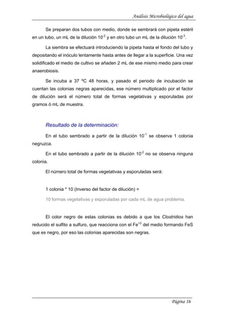 Análisis Microbiológico del agua
Se preparan dos tubos con medio, donde se sembrará con pipeta estéril
en un tubo, un mL de la dilución 10-2
y en otro tubo un mL de la dilución 10-3
.
La siembra se efectuará introduciendo la pipeta hasta el fondo del tubo y
depositando el inóculo lentamente hasta antes de llegar a la superficie. Una vez
solidificado el medio de cultivo se añaden 2 mL de ese mismo medio para crear
anaerobiosis.
Se incuba a 37 ºC 48 horas, y pasado el periodo de incubación se
cuentan las colonias negras aparecidas, ese número multiplicado por el factor
de dilución será el número total de formas vegetativas y esporuladas por
gramos ó mL de muestra.
Resultado de la determinación:
En el tubo sembrado a partir de la dilución 10-1
se observa 1 colonia
negruzca.
En el tubo sembrado a partir de la dilución 10-2
no se observa ninguna
colonia.
El número total de formas vegetativas y esporuladas será:
1 colonia * 10 (Inverso del factor de dilución) =
10 formas vegetativas y esporuladas por cada mL de agua problema.
El color negro de estas colonias es debido a que los Clostridios han
reducido el sulfito a sulfuro, que reacciona con el Fe+2
del medio formando FeS
que es negro, por eso las colonias aparecidas son negras.
Página 16
 