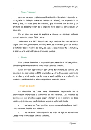Análisis Microbiológico del agua
- Voges Proskauer:
Algunas bacterias producen acatilmetilcarbimol (producto intermedio en
la degradación de la glucosa de los hidratos de carbono), que en presencia de
KOH y aire, se oxida para dar diacetilo, que reacciona con α-naftol y un
producto de descomposición de la arginina de la peptona, para producir un
color rojo.
En un tubo con agua de peptona y glucosa se siembran colonias
aparecidas en las placas EMB Levine.
Se incuba a 37 ó 44 ºC 24-48 horas, luego se añade 1 mL de reactivo de
Voges Proskauer,que contiene α-naftol y KOH, se añade seis gotas de reactivo
o´mehara y dos de reactivo de Barry, se agita, se deja reposar 10-15 minutos y
si aparece una coloración roja la prueba es positiva.
- Citrato:
Esta prueba determina la capacidad que presenta el microorganismo
problema para utilizar el citrato como única fuente de carbono.
En un tubo con agar inclinado con Citrato de Simmons, se siembra una
colonia de las aparecidas en EMB en picadura y estría. Si aparece crecimiento
en el slam y si el medio vira de verde a azul (debido a la producción de
amoníaco que lo alcaliniza), el microorganismo es citrato positivo.
Tinción de Gram:
La coloración de Gram tiene fundamental importancia en la
diferenciación morfológica y taxonómica de las bacterias. Las bacterias se
clasifican en dos grandes grupos según retengan o no el colorante de base
usado en la tinción, que es el violeta de genciana o el cristal violeta:
• Las bacterias Gram positivas aparecen con el citoplasma teñido
uniformemente de color azul o violeta.
• Las bacterias Gram negativas se tiñen de rojo por el colorante
usado como contrastador, fuchina, safranina.
Página 8
 