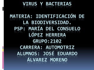 Virus y bacteriasmateria: identificación de la biodiversidad.PSP: María del consuelo López herreragrupo:2102Carrera: automotrizalumnos: José Eduardo Álvarez moreno 