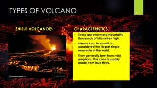 TYPES OF VOLCANO 
SHIELD VOLCANOES CHARACTERISTICS 
 These are enormous mountains 
thousands of kilometres high. 
 Mauna Loa, in Hawaii, is 
considered the largest single 
mountain in the world. 
 They generally form from mild 
eruptions. The cone is usually 
made from lava flows. 
 