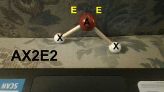 AX2E2 Angular Bent H2O
v
X
X
A
AX2E2
E
E
 