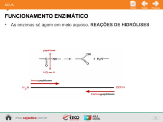 www.sejaetico.com.br 10
PróximoVoltarInício
• As enzimas só agem em meio aquoso. REAÇÕES DE HIDRÓLISES
FUNCIONAMENTO ENZIMÁTICO
ÁGUA
 