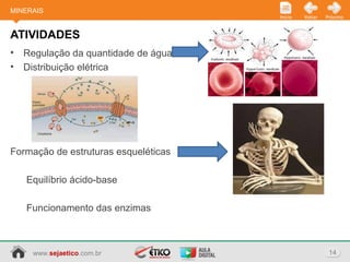 www.sejaetico.com.br 14
PróximoVoltarInício
• Regulação da quantidade de água
• Distribuição elétrica
Formação de estruturas esqueléticas
Equilíbrio ácido-base
Funcionamento das enzimas
ATIVIDADES
MINERAIS
 
