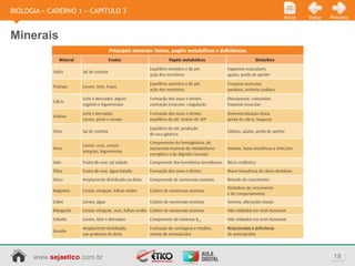 www.sejaetico.com.br 18
PróximoVoltarInício
BIOLOGIA » CADERNO 1 » CAPÍTULO 3
Minerais
 