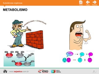 www.sejaetico.com.br 21
PróximoVoltarInício
METABOLISMO
Substâncias orgânicas
 