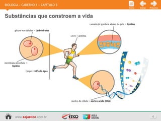 www.sejaetico.com.br 4
PróximoVoltarInício
BIOLOGIA » CADERNO 1 » CAPÍTULO 3
Substâncias que constroem a vida
 