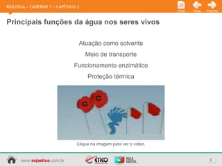 www.sejaetico.com.br 6
PróximoVoltarInício
BIOLOGIA » CADERNO 1 » CAPÍTULO 3
Principais funções da água nos seres vivos
Atuação como solvente
Meio de transporte
Funcionamento enzimático
Proteção térmica
Clique na imagem para ver o vídeo.
 