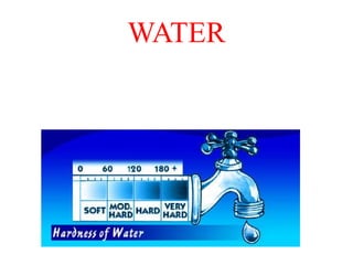WATER
 
