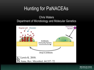 Hunting for PaNACEAs
Chris Waters
Department of Microbiology and Molecular Genetics
 