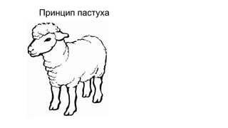 Принцип пастуха
 