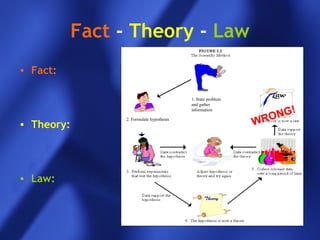 1. State problem
and gather
information
2. Formulate hypothesis
Fact - Theory - Law
• Fact:
• Theory:
• Law:
WRONG!
 