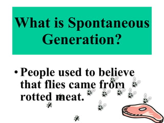 People used to believe that flies came from rotted meat. What is Spontaneous Generation? 